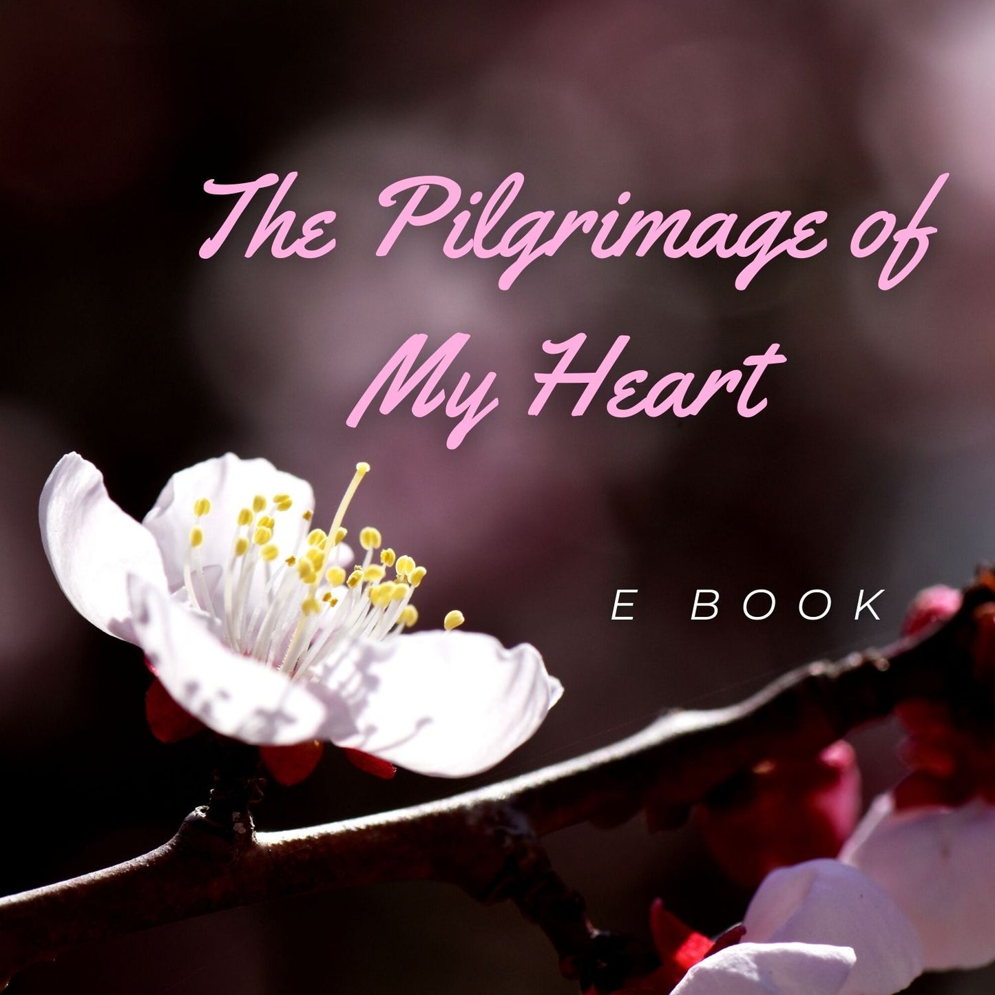 The Pilgrimage of My Heart