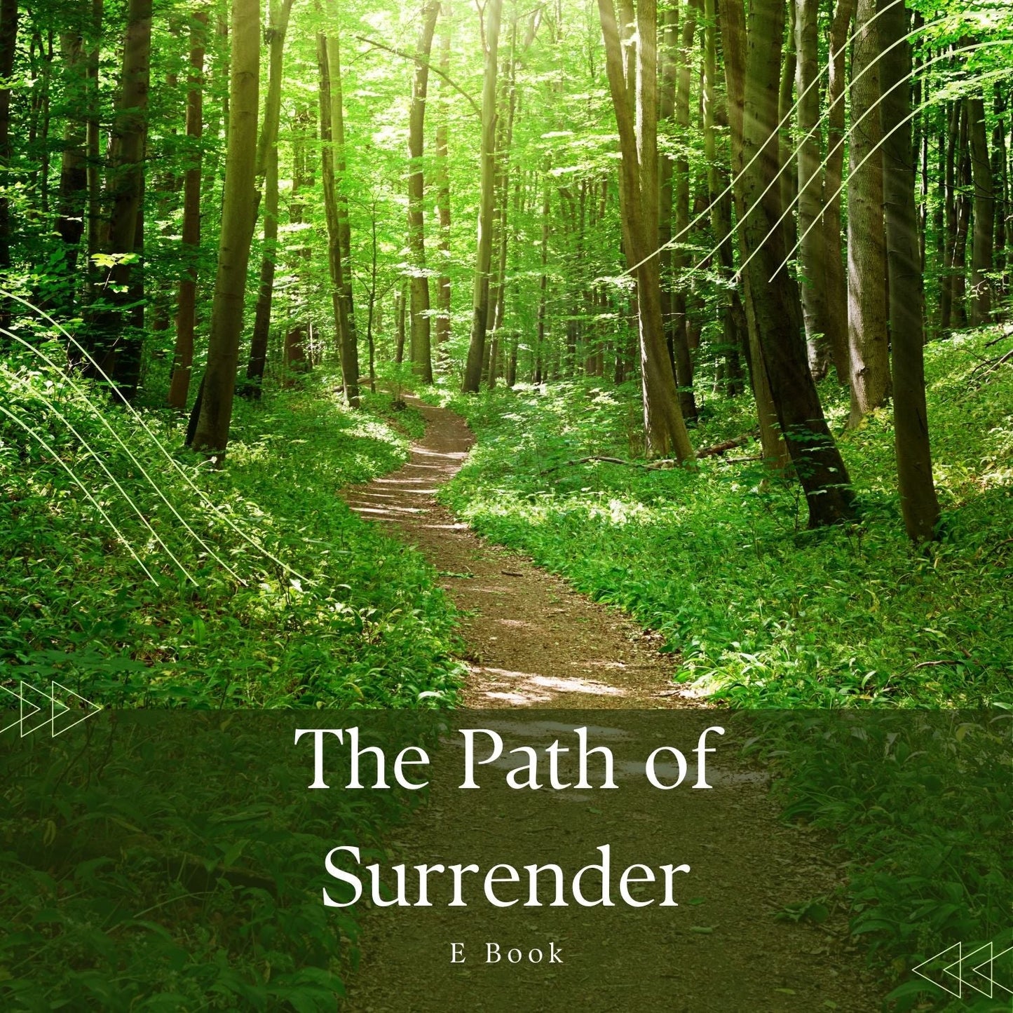 The Path of Surrender FeelBook cover