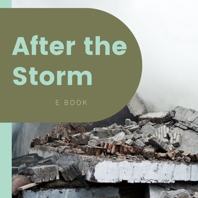 After the Storm