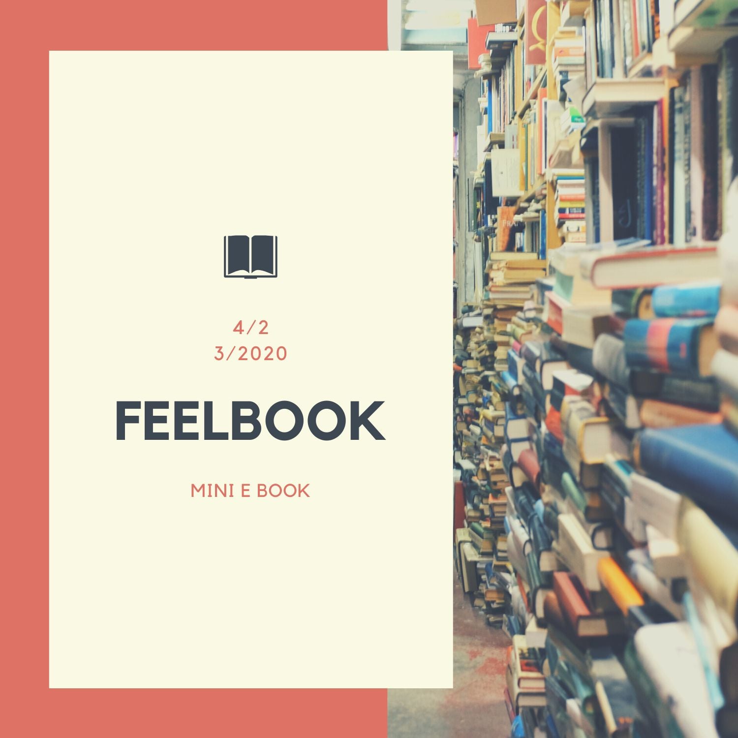 Cover of 'Feelbook' mini e-book with a bookshelf background