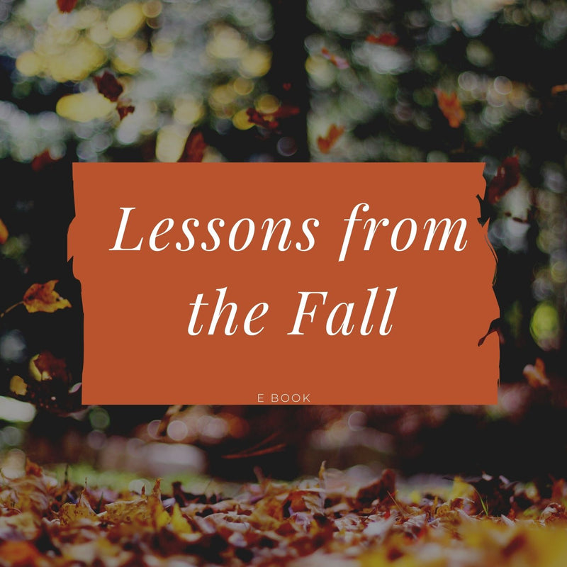 Lessons from the Fall