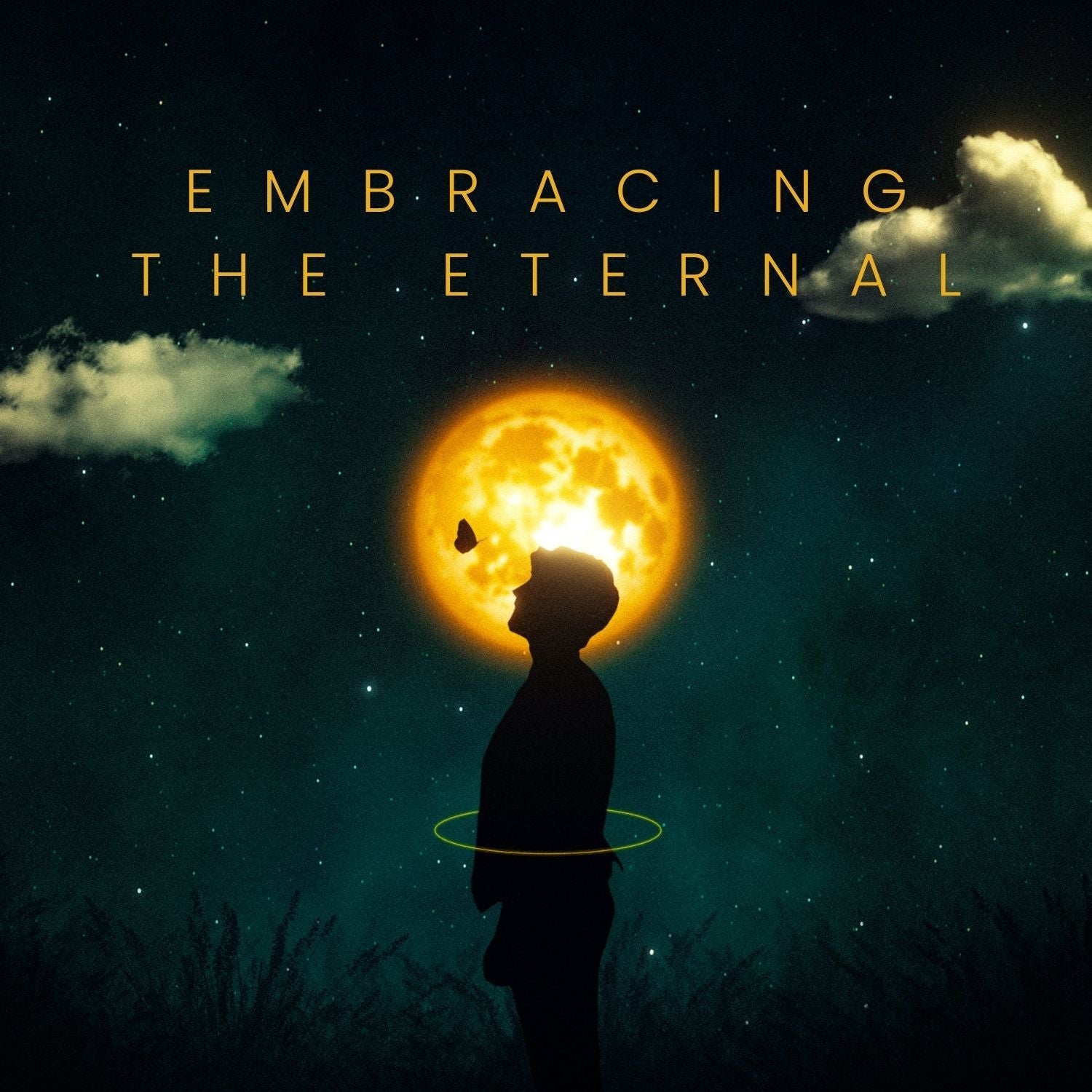 Embracing the Eternal FeelBook cover