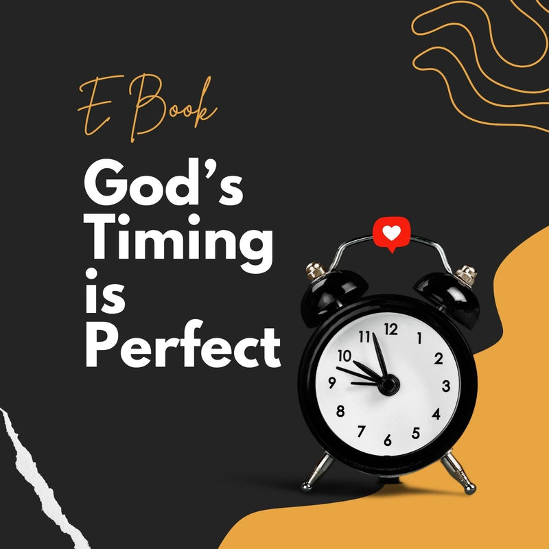 Gods Timing is Perfect FeelBook cover