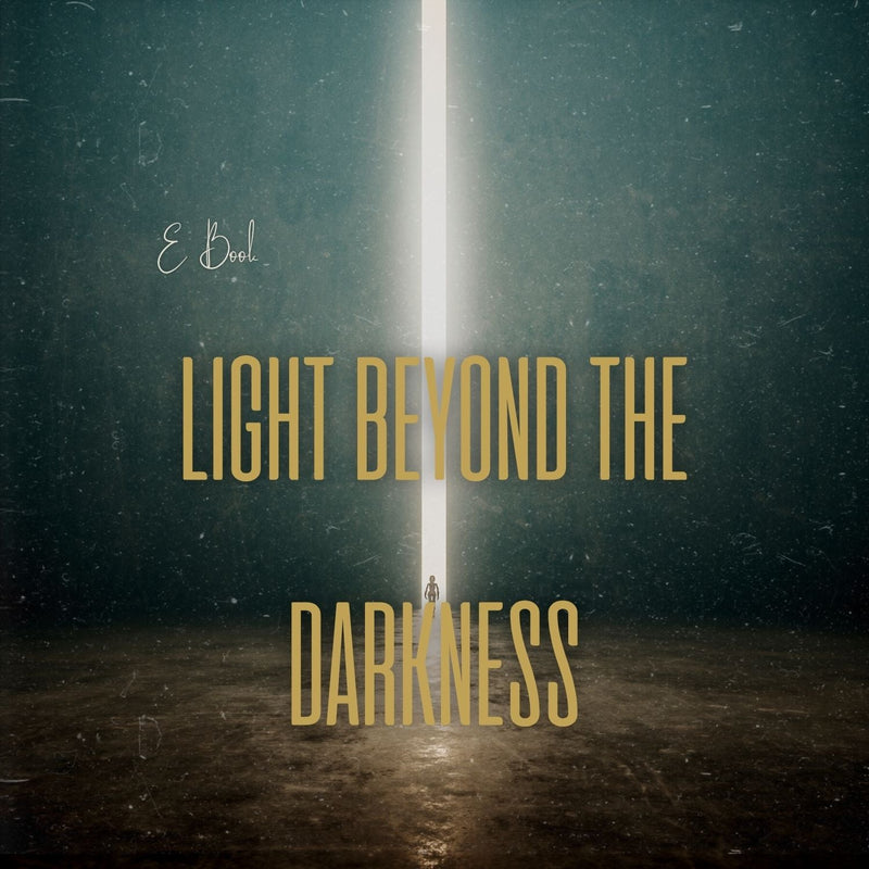 Light Beyond the Darkness FeelBook cover