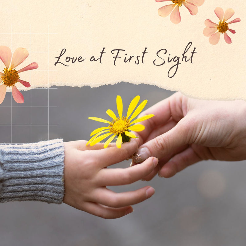 Micro-Acts of Love (Daily Prompts) – Love & Relationships Feelbook by Clikker