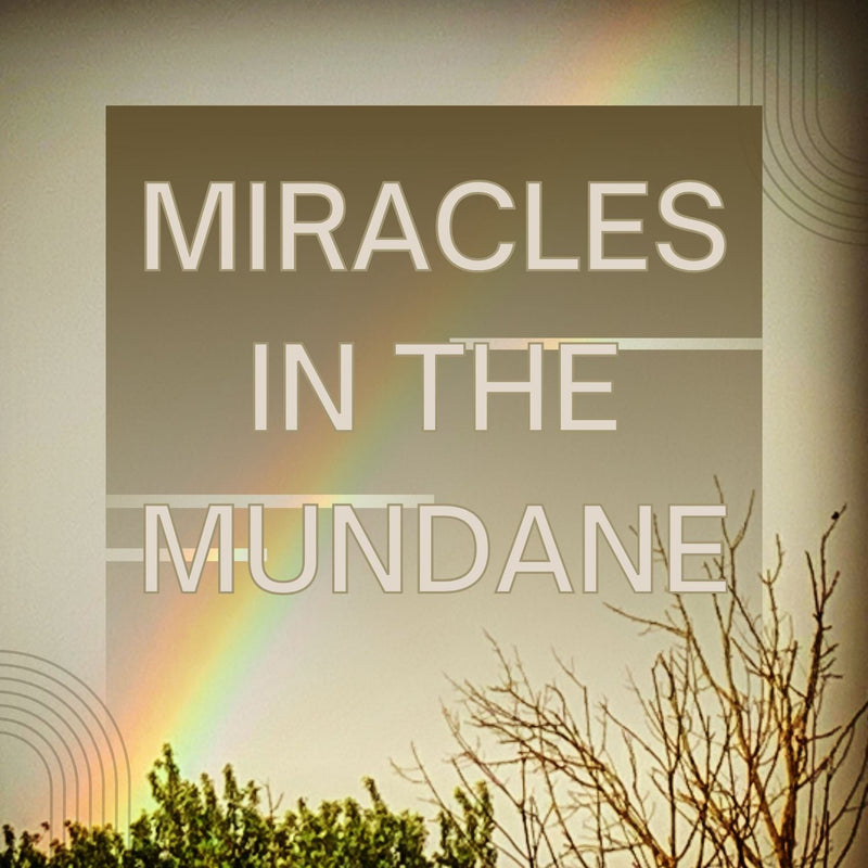 Miracles in the Mundane FeelBook cover