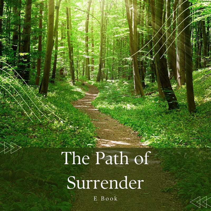 The Path of Surrender FeelBook cover