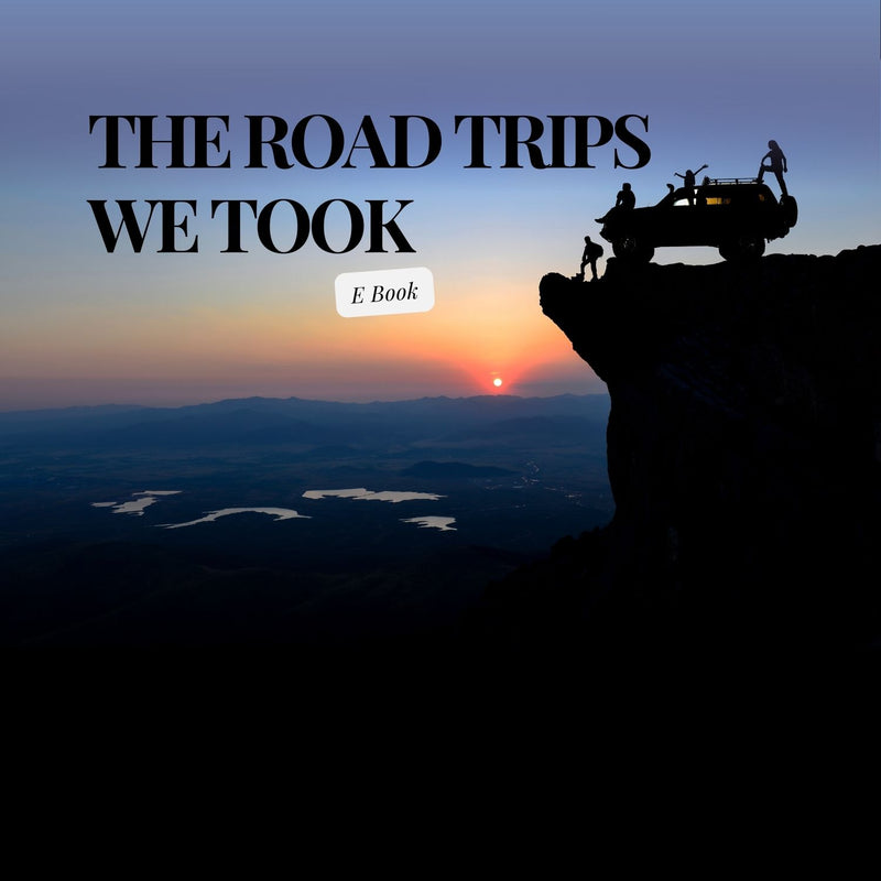 The Road Trips We Took