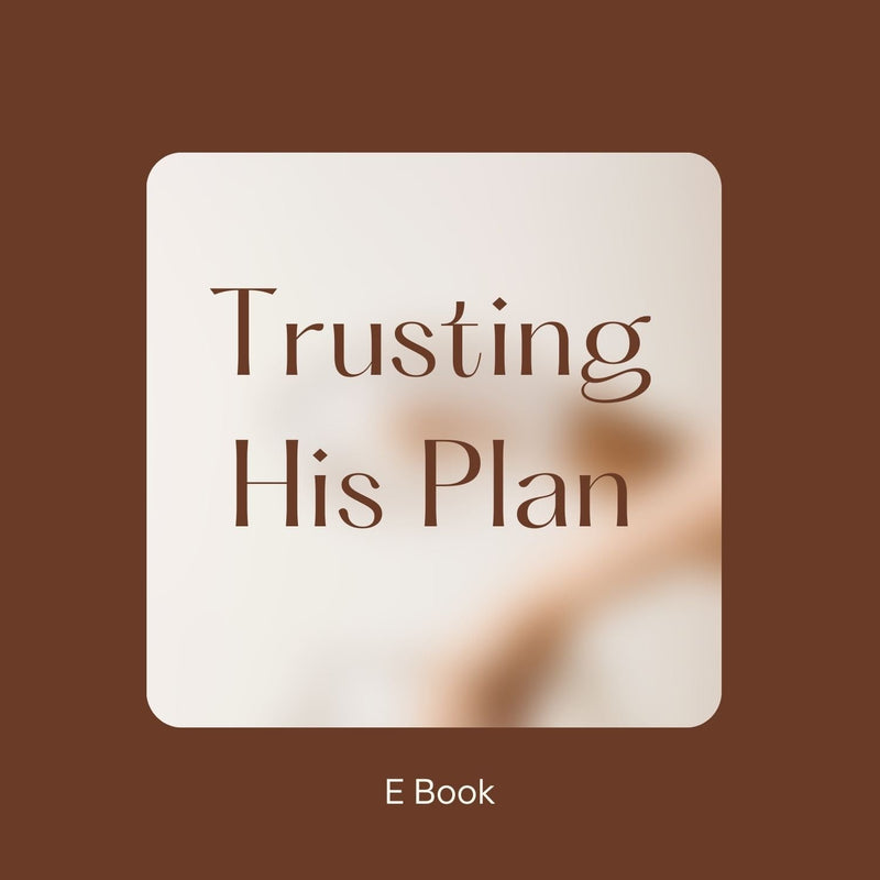 Trusting His Plan FeelBook cover