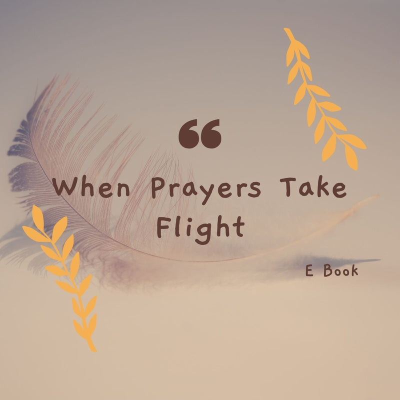 When Prayers Take Flight FeelBook cover